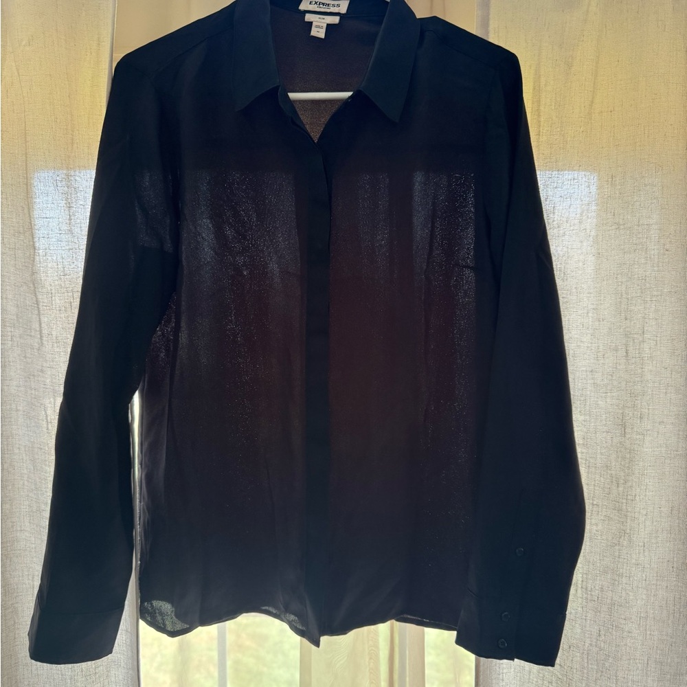 Express Black Sheer Blouse